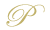 Mini logo P